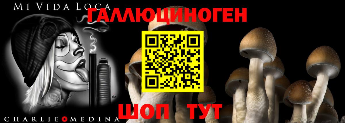 Псилоцибиновые грибы MAGIC MUSHROOMS Кириши
